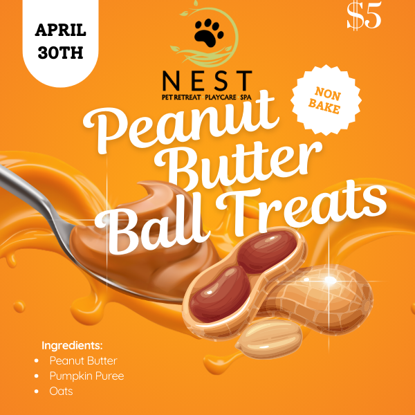 Peanut Butter Ball Flyer