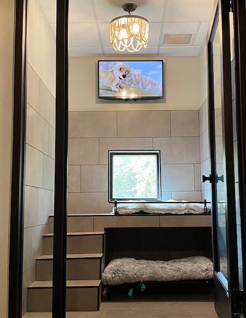 NEST Pet Retreat 3