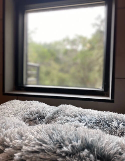 NEST Pet Retreat 5