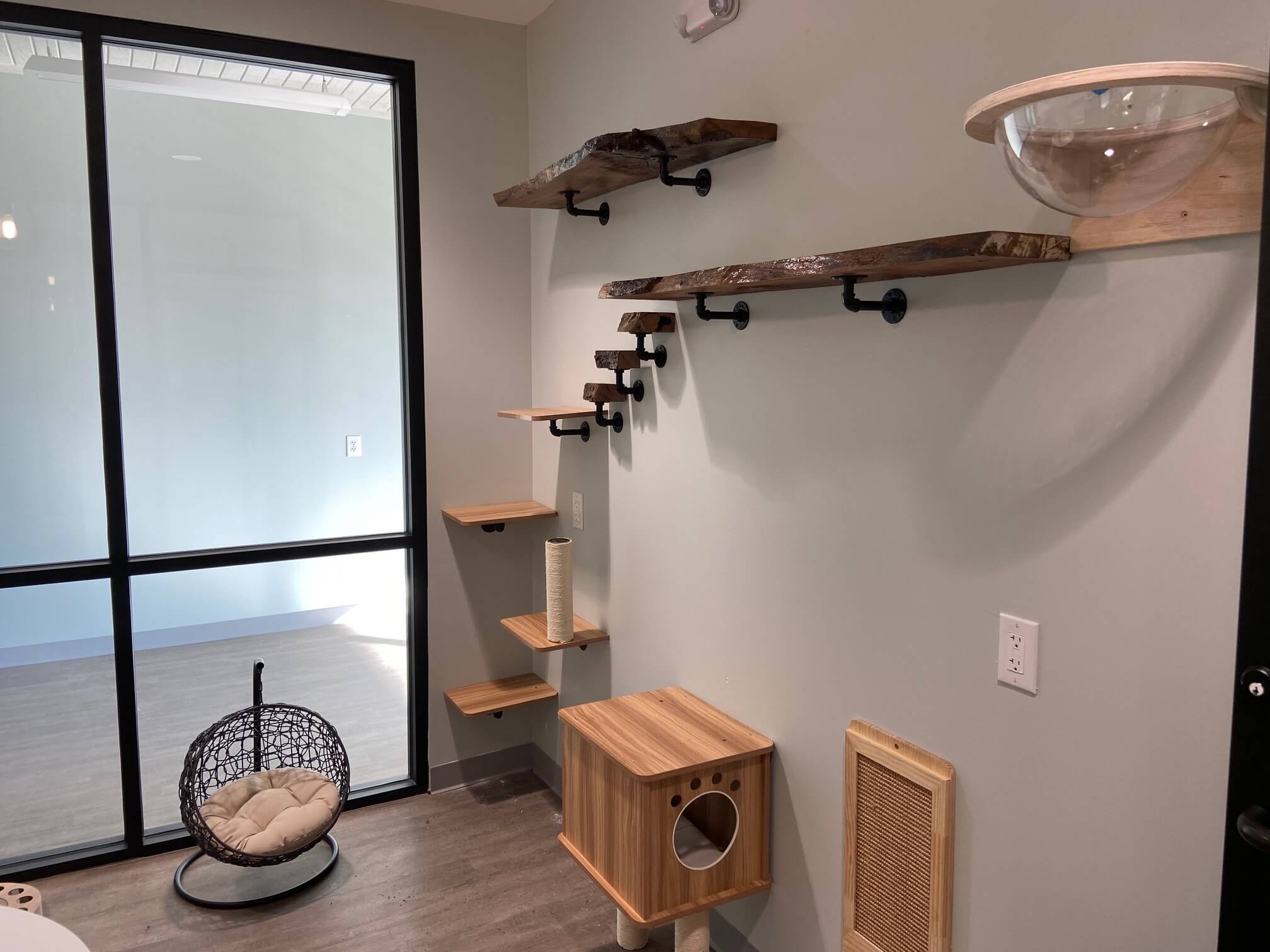 NEST Cat Retreat