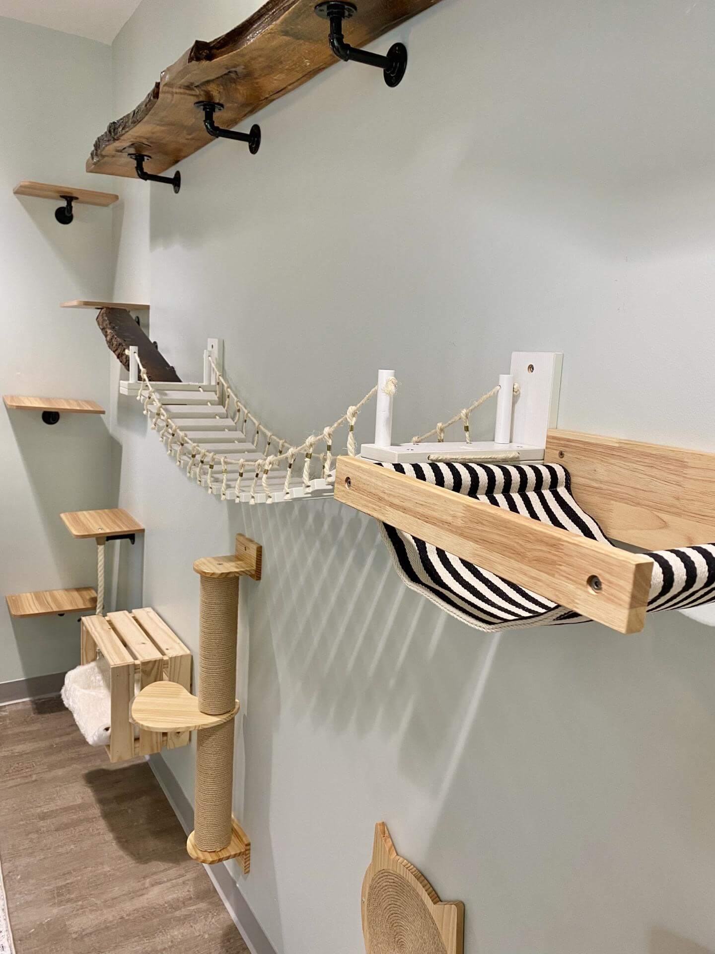NEST Cat Retreat