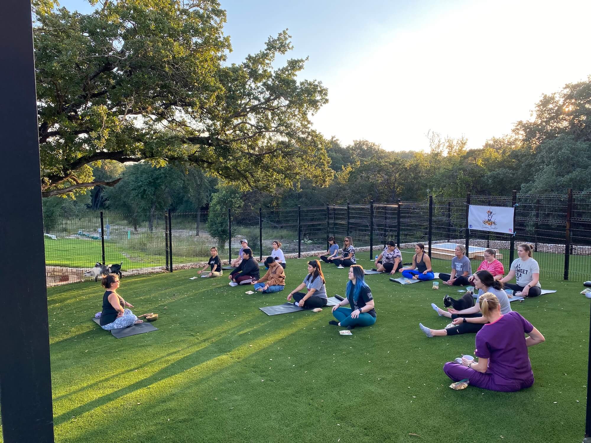 Goat Yoga Event