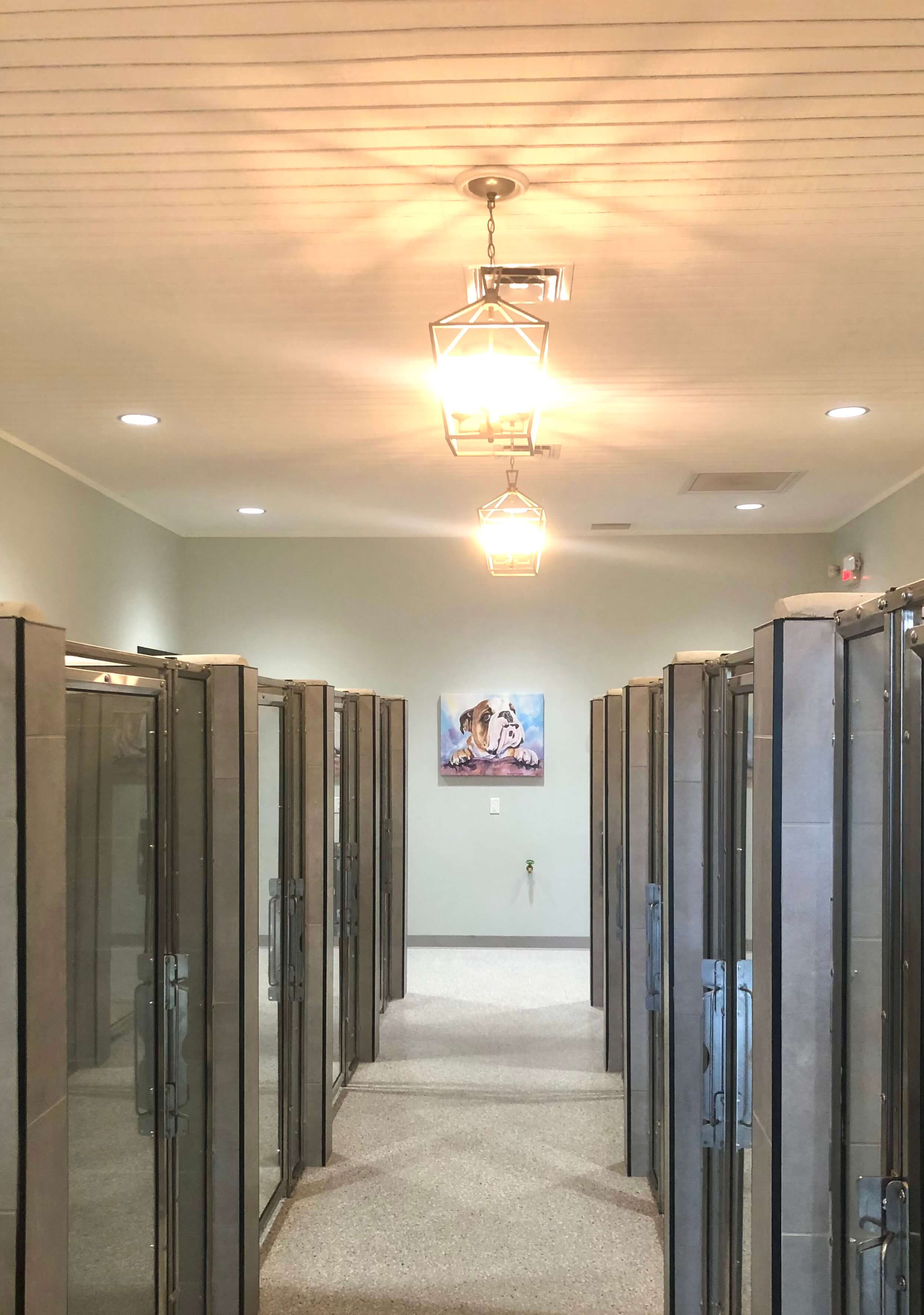 NEST suites