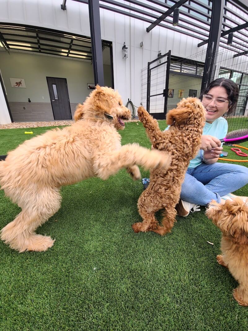 NEST Puppy Camp