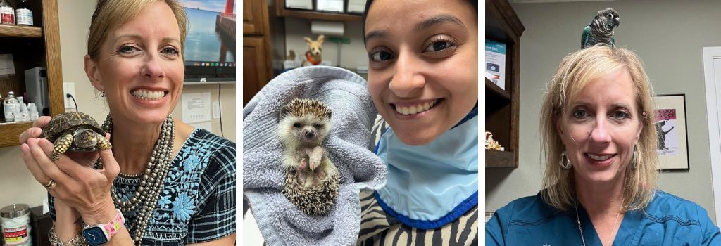 Employees at Northern Oaks Animal & Bird Hospital seeing exotic pets.