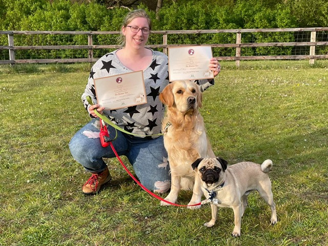 San Antonio Texas Veterinary Canine Educator