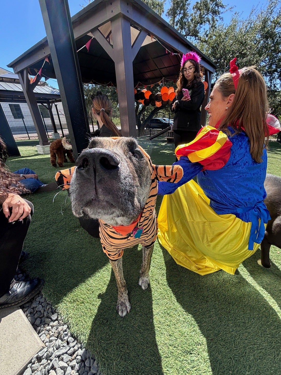 NEST Dog Boarding Retreat 2