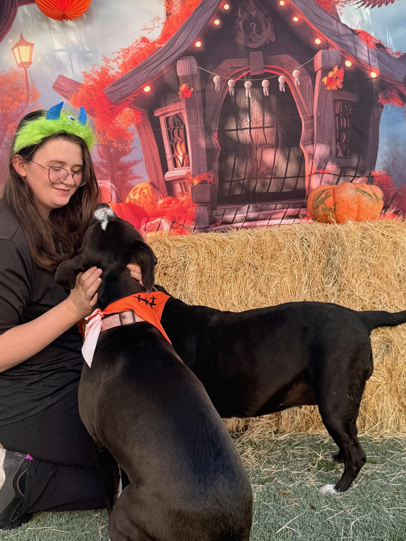 NEST Dog Boarding Retreat 7