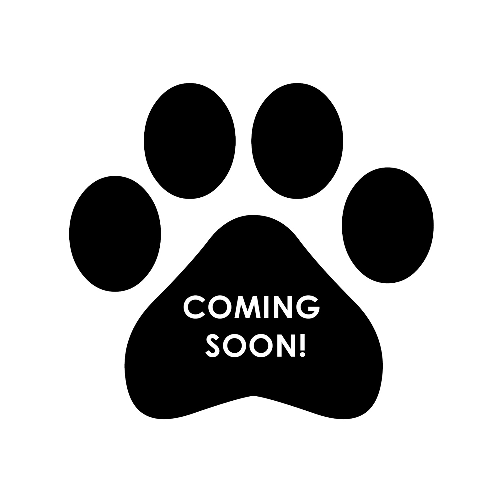 Photo Coming Soon