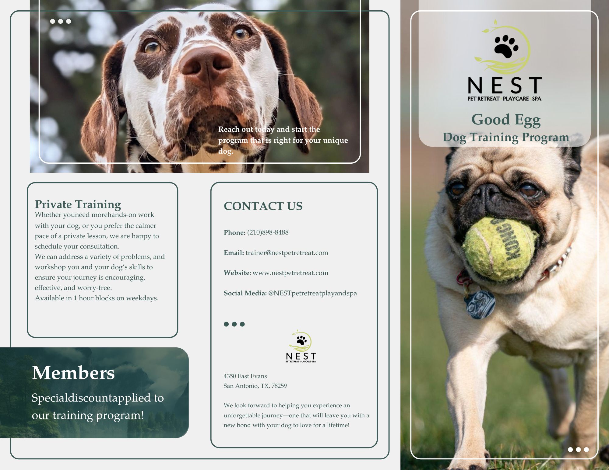 NEST Dog Training