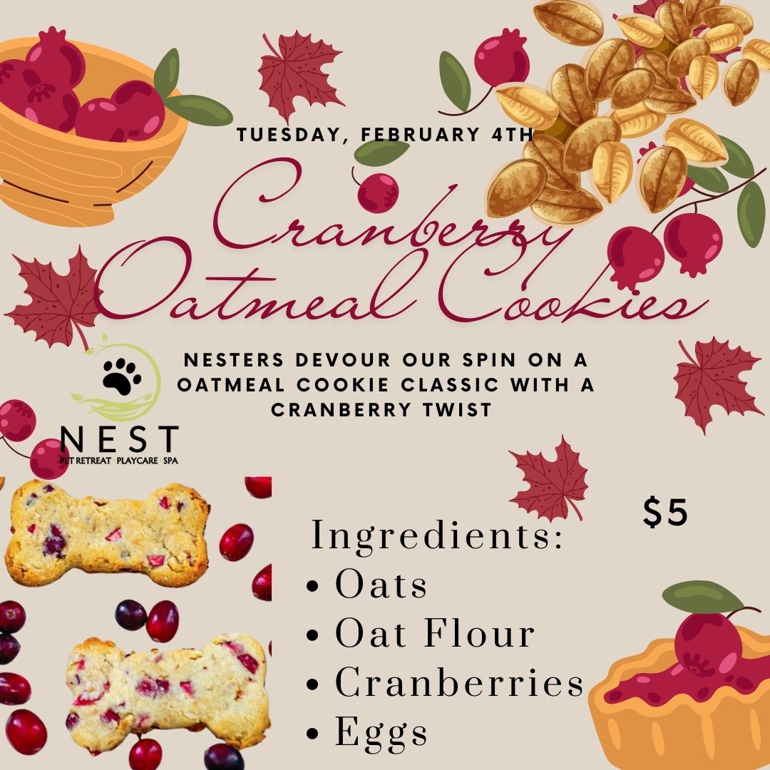 Cranberry