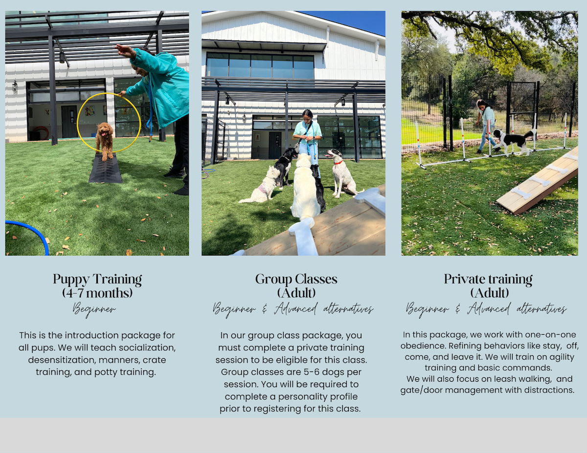 NEST Dog Training Brochure Page 2