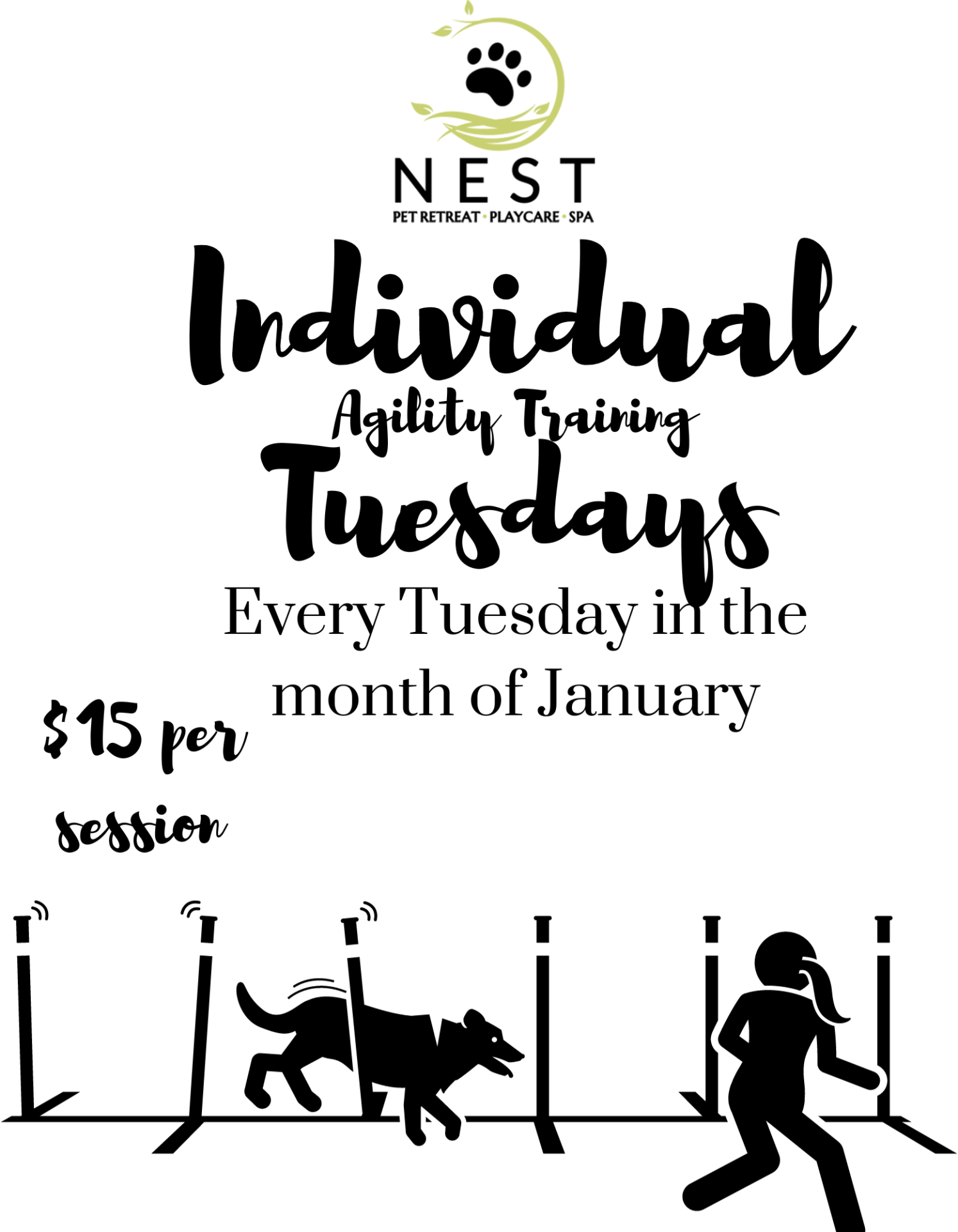 NEST Event Agility Training