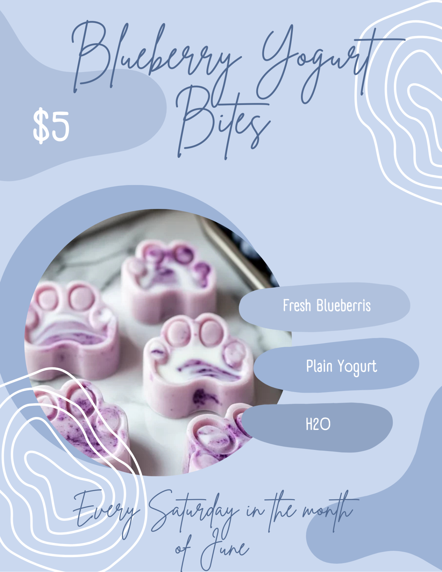 Blueberry Yogurt Bites