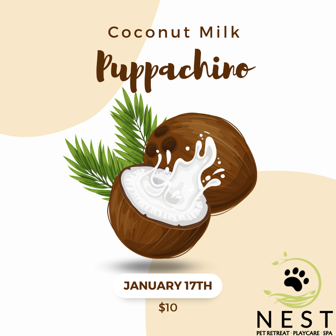 NEST Event Puppachinos
