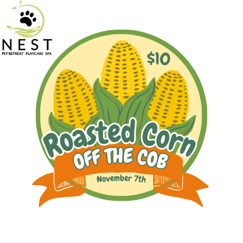 Roasted Corn Off the Cob