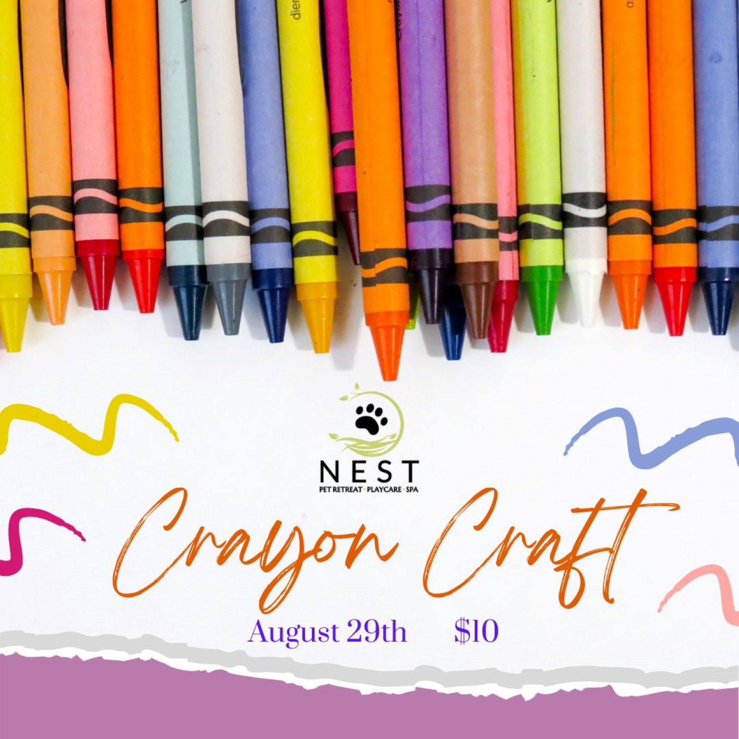 NEST Pet Retreat San Antonio