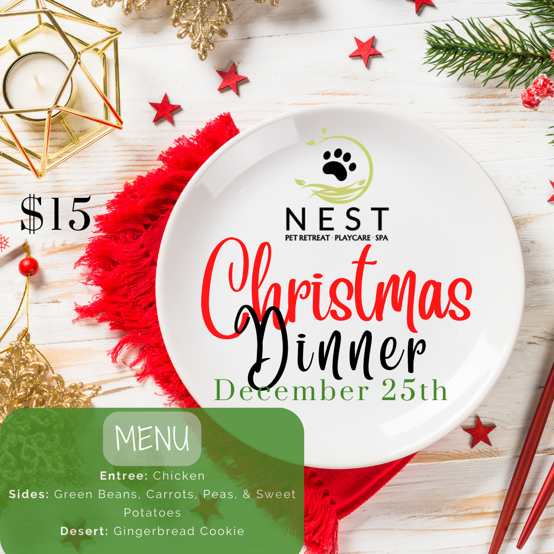 Christmas Dinner
