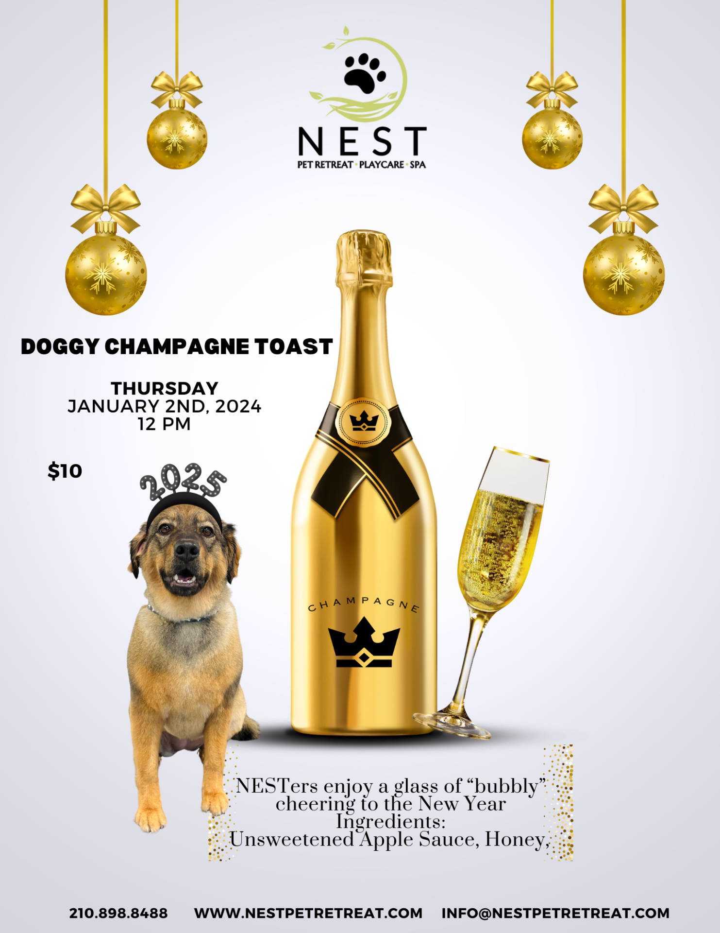 Doggy Champagne