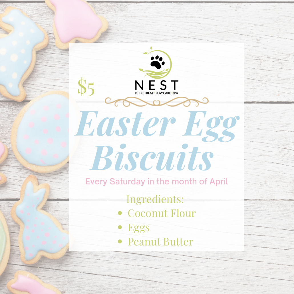 Easter Biscuit