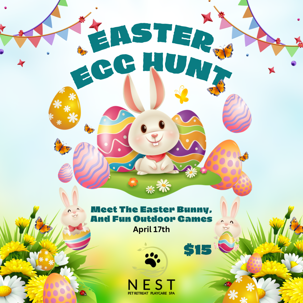 Easter Egg Hunt