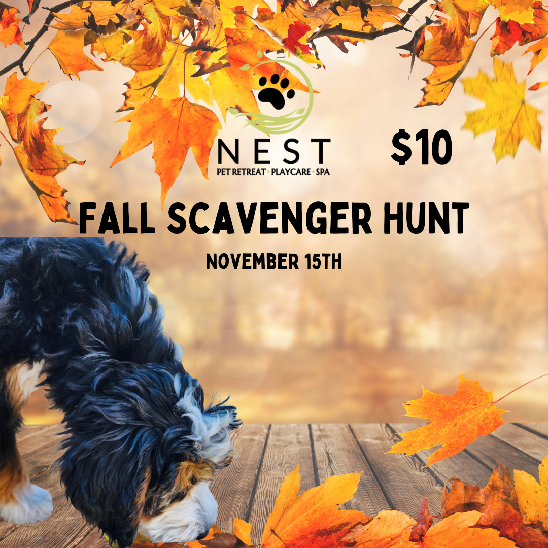 Fall Scavenger Hunt