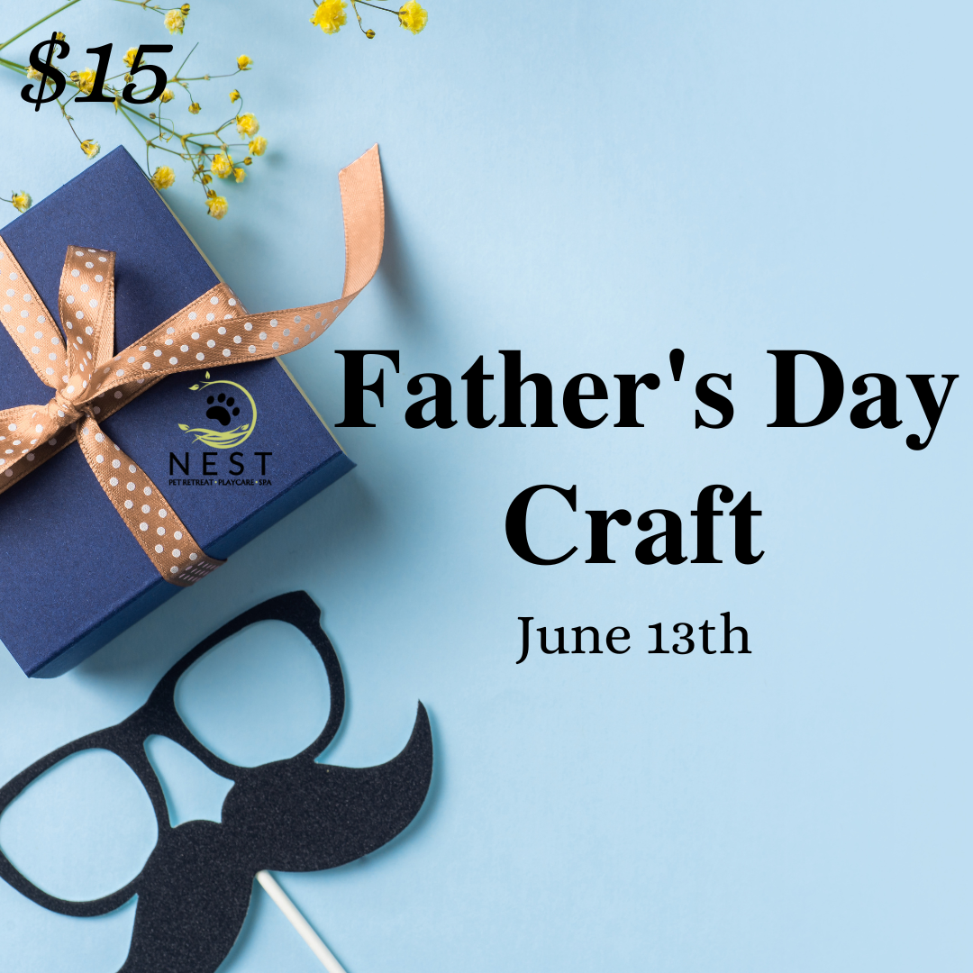 Father's Day Craft at NEST Pet Retreat