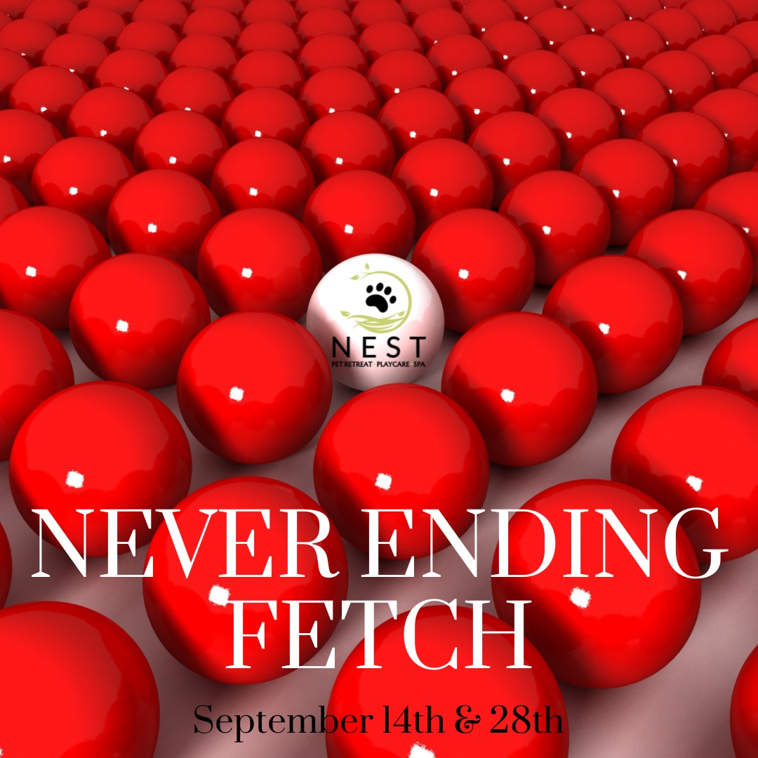 Never Ending Fetch at NEST