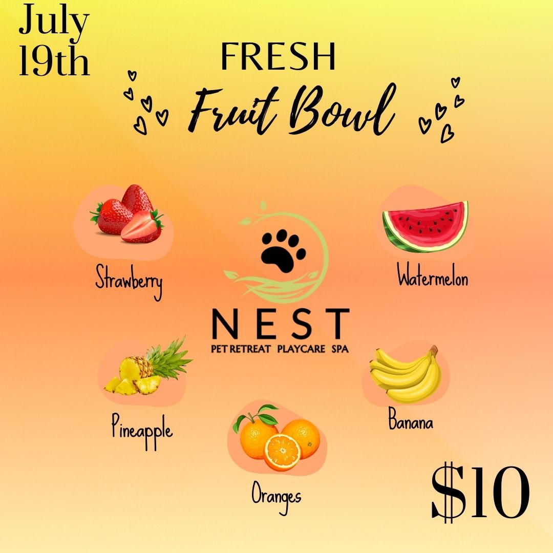 Event at NEST Pet Retreat