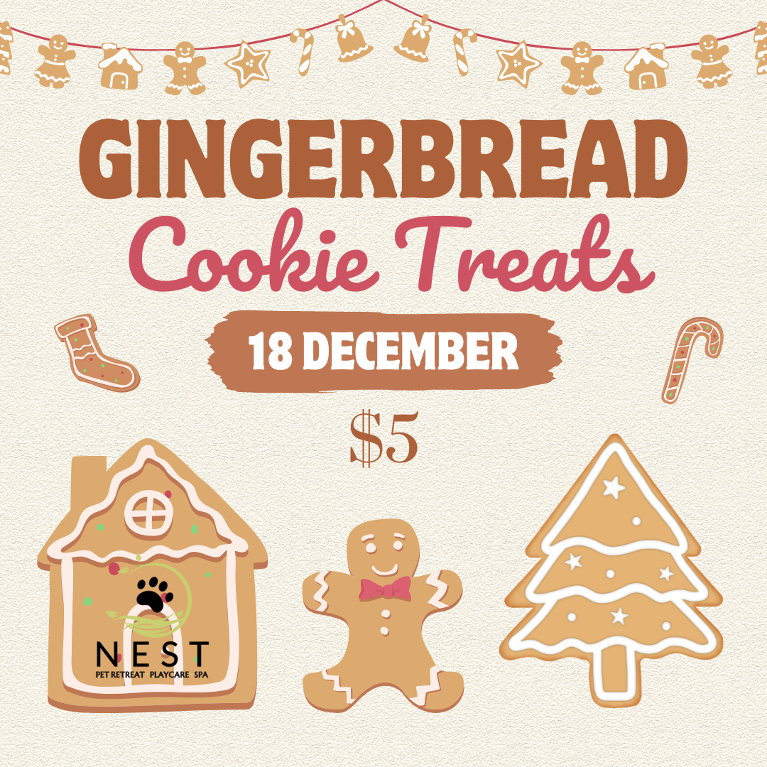 GingerbreadCookieTreats