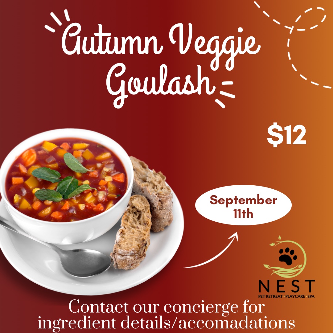 Goulash at NEST