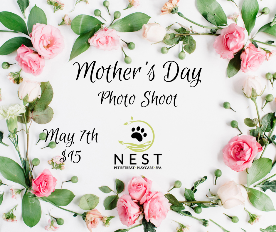 Mother' Day Photoshoot at NEST