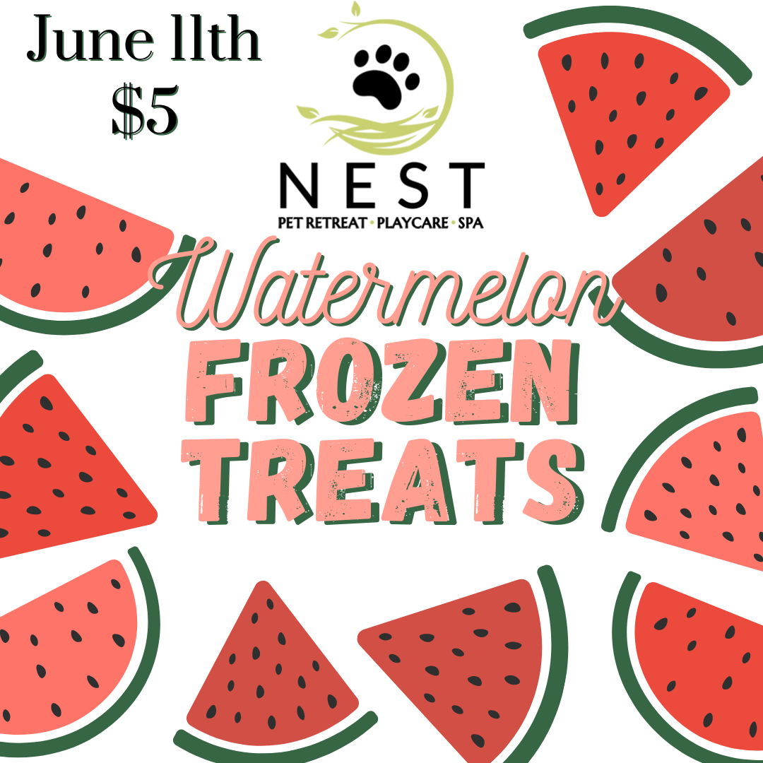 Watermelon Treats at NEST Pet Retreat
