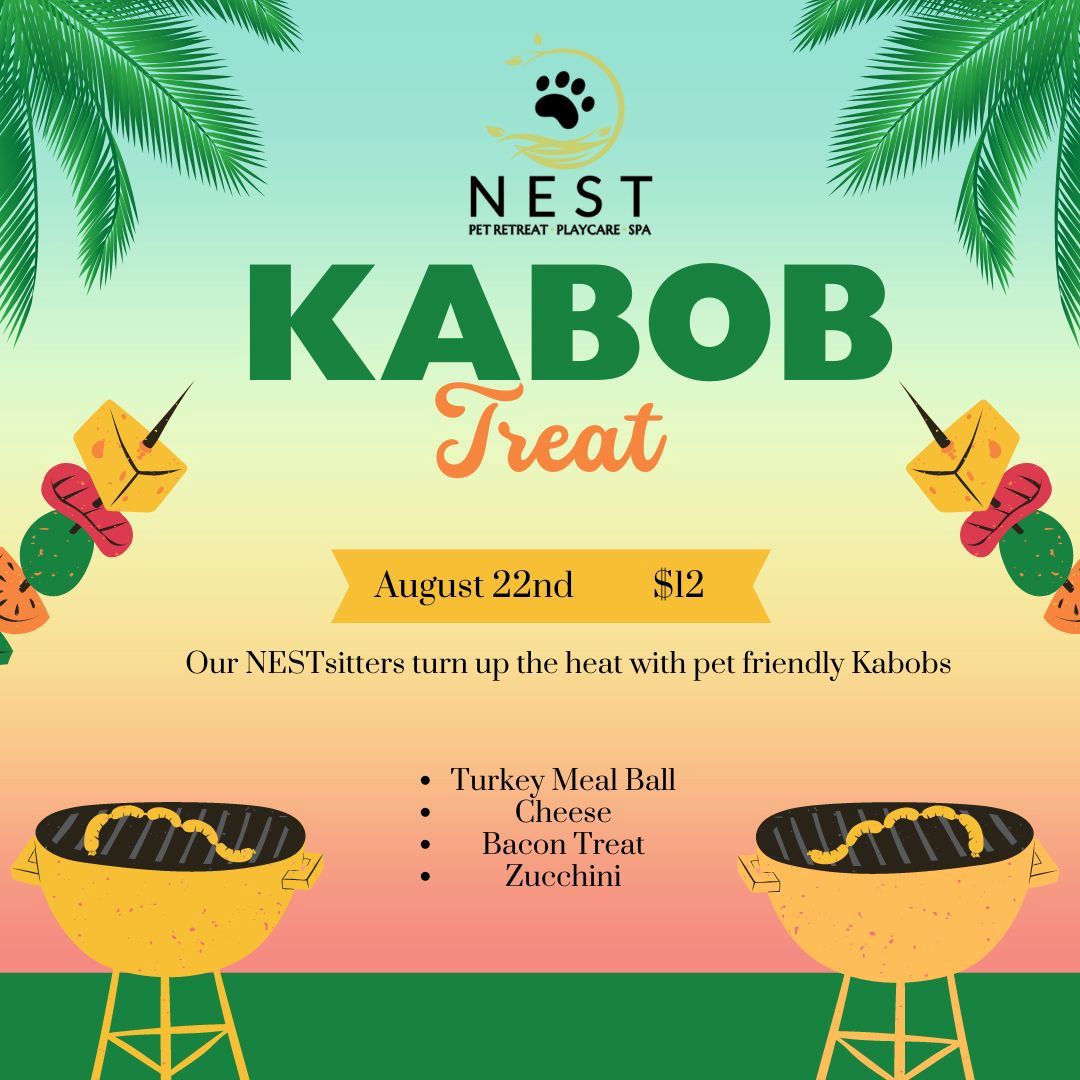 NEST Pet Retreat San Antonio 