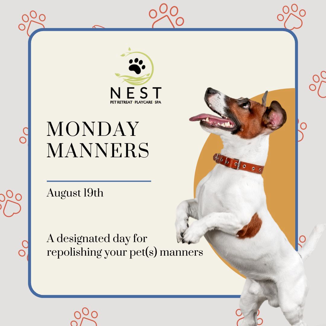 NEST Pet Retreat San Antonio 