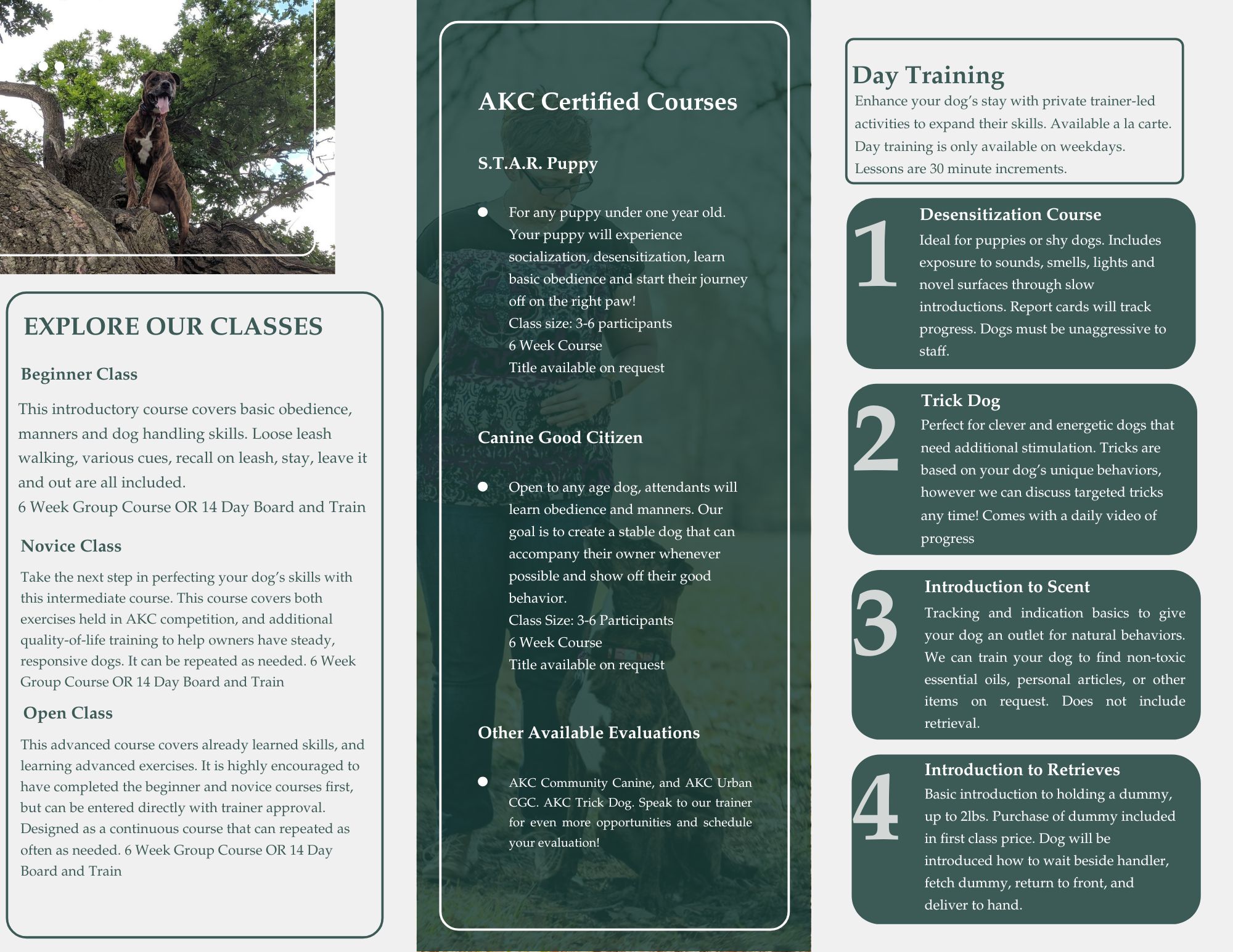 NEST Dog Training