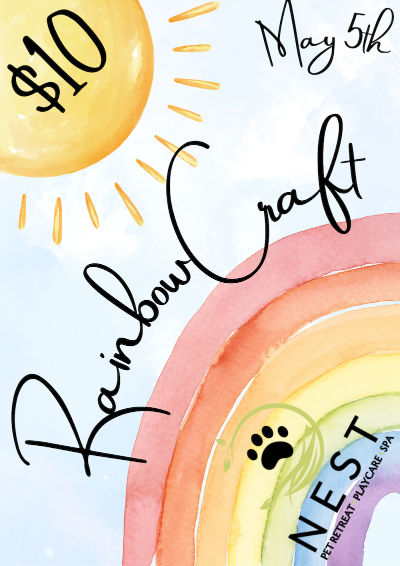 NEST Pet Retreat Rainbow Craft 