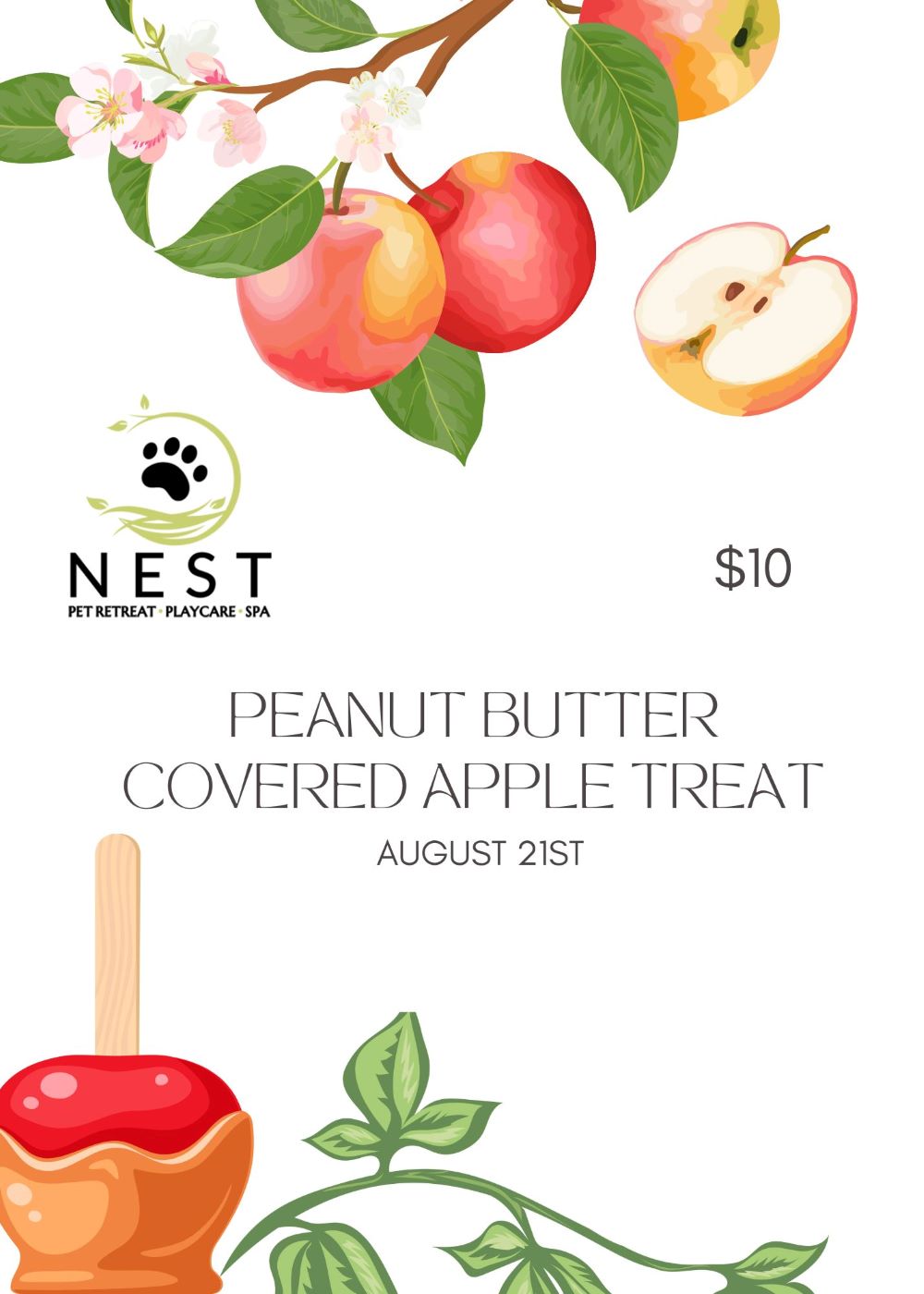 NEST Pet Retreat San Antonio 