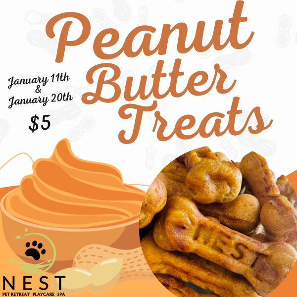NEST Event Peanut Butter 
