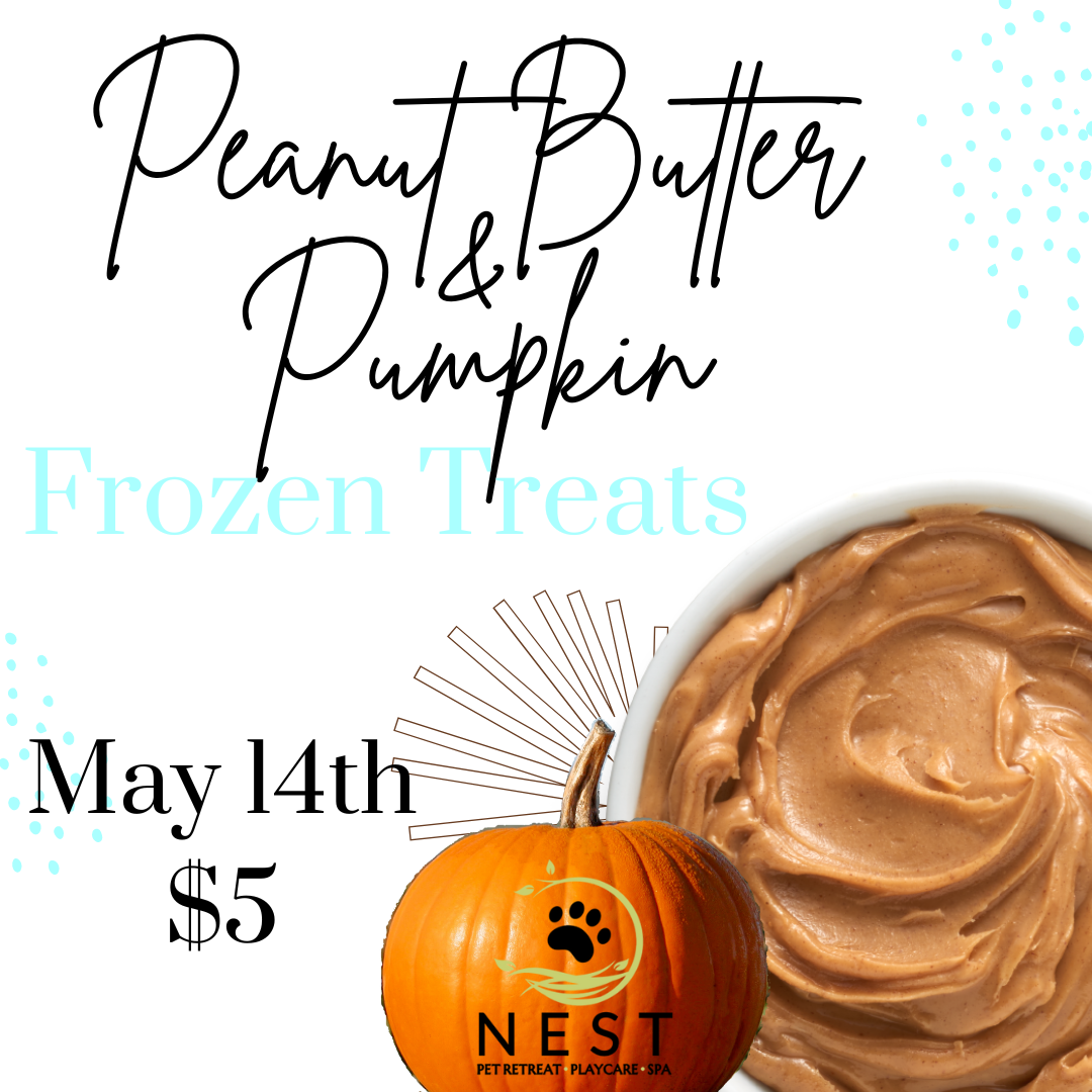 Pumpkin Peanut Butter Frozen Treats at NEST