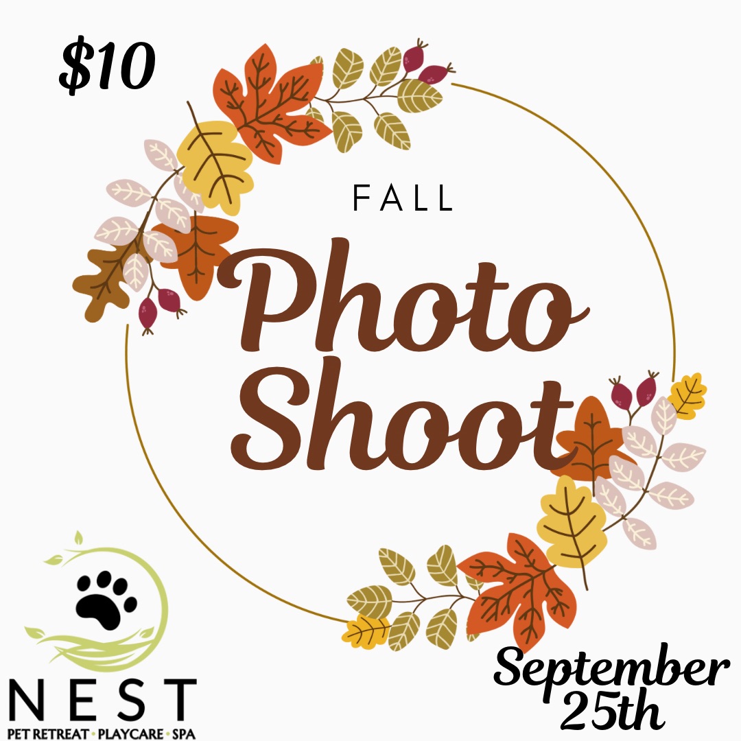 Fall Photo Shoot at NEST
