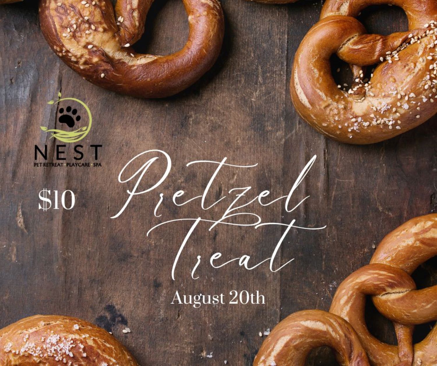 NEST Pet Retreat San Antonio  