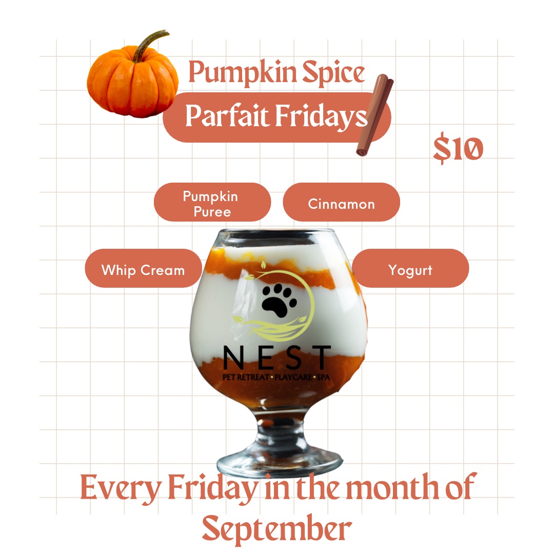 Pumpkin Spice Parfait Friday at NEST
