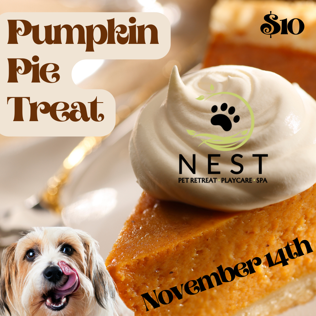 Pumpkin Pie Treats