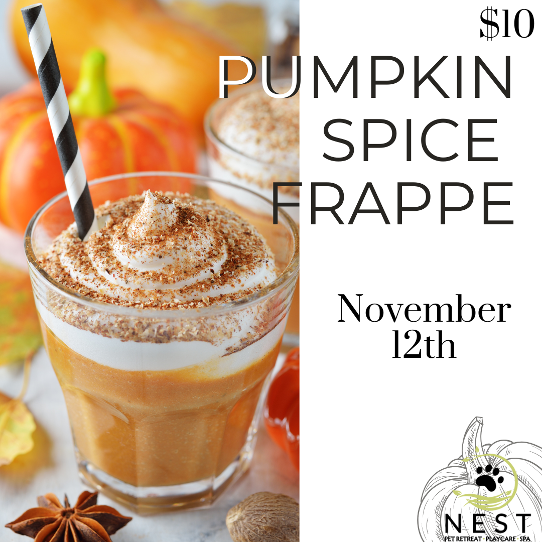 Pumpkin Spice Frappe