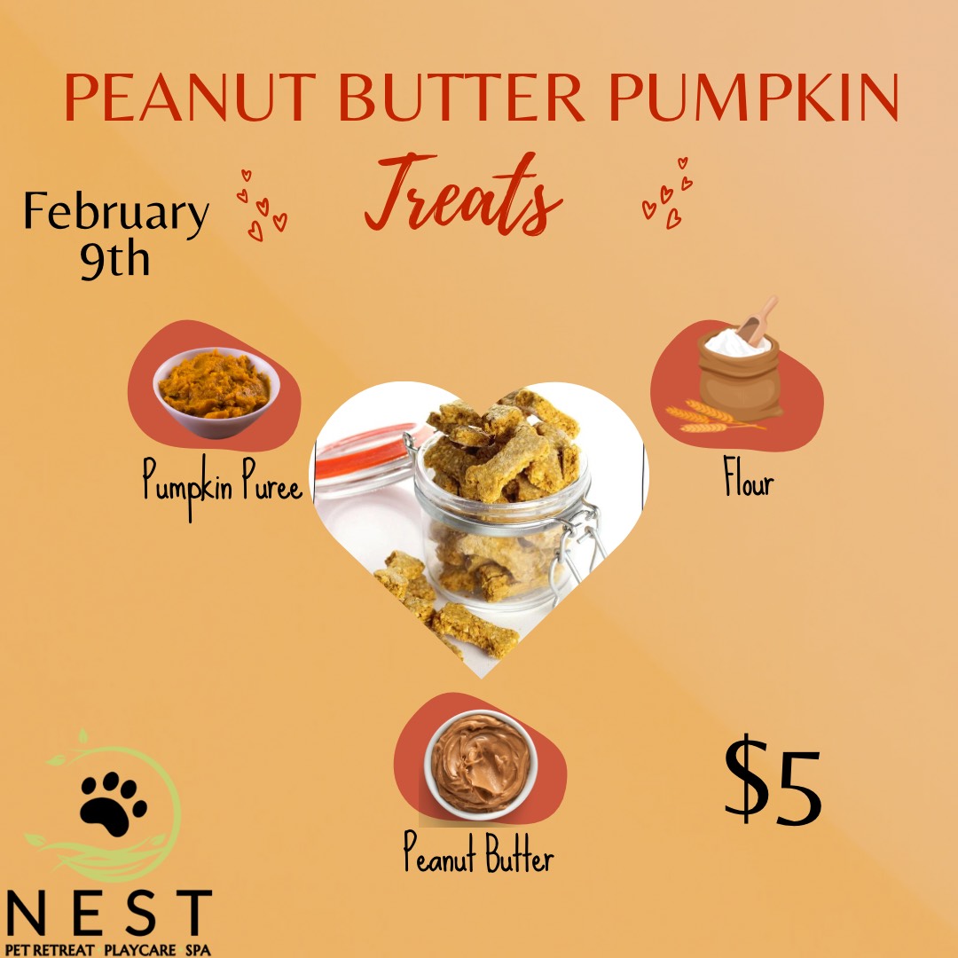 Pumpkin Treats