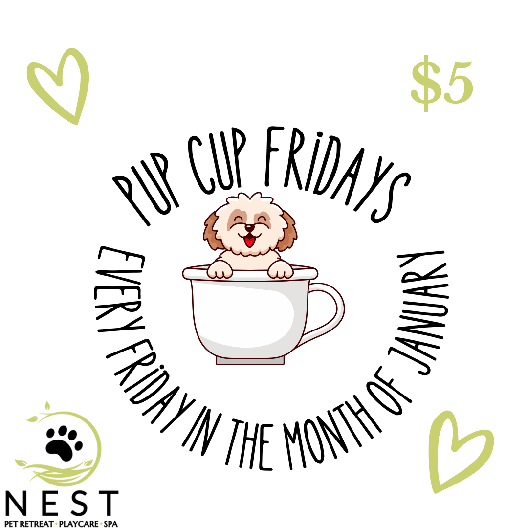 NEST Event Pup Cups