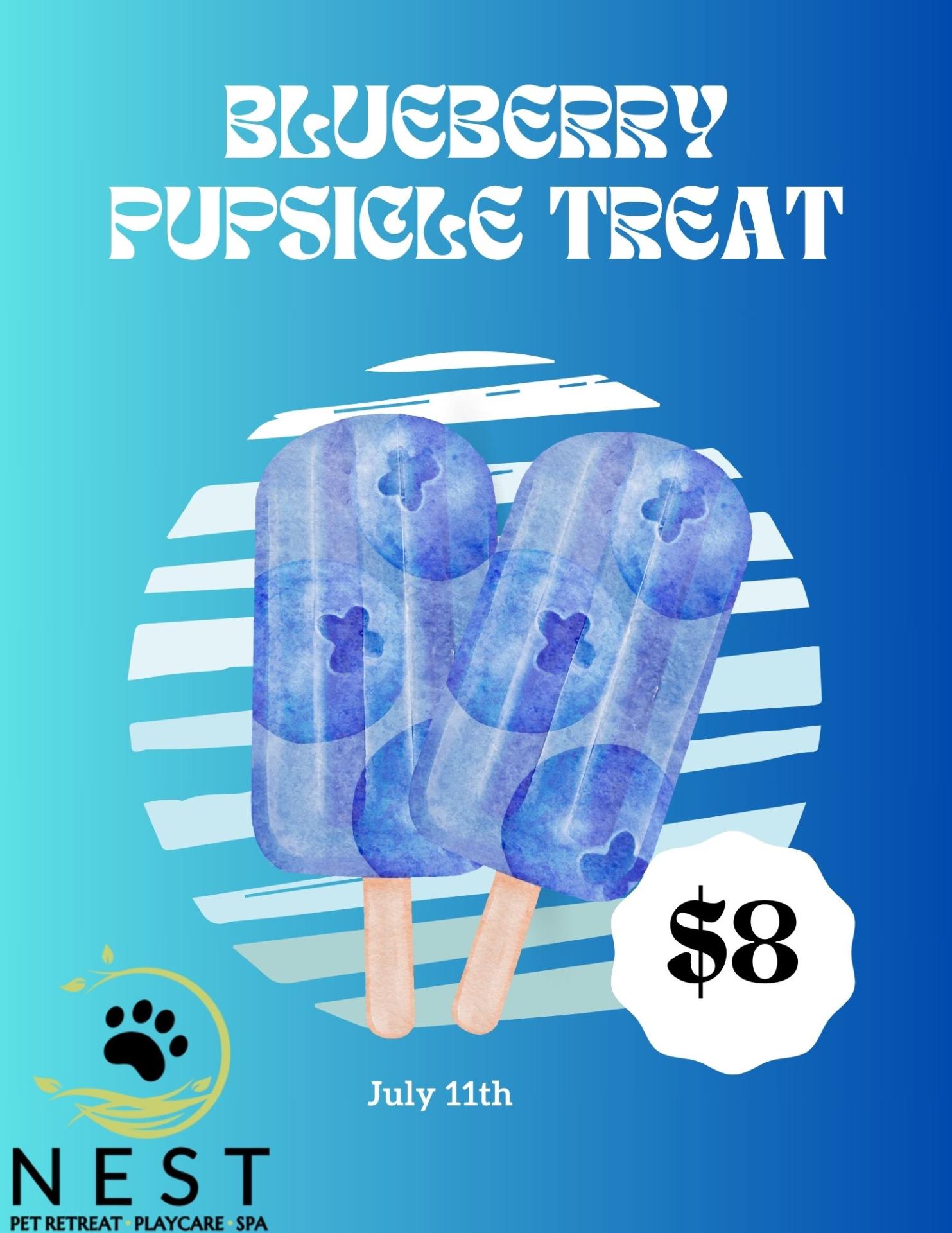 Event at NEST Pet Retreat