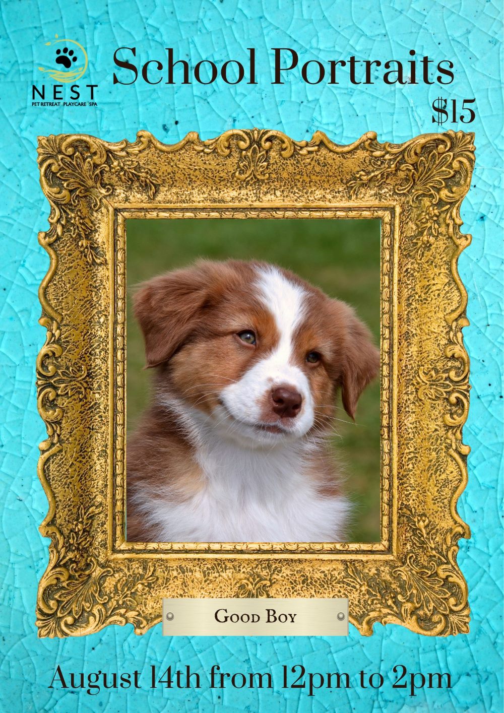 NEST School Puppy Portraits