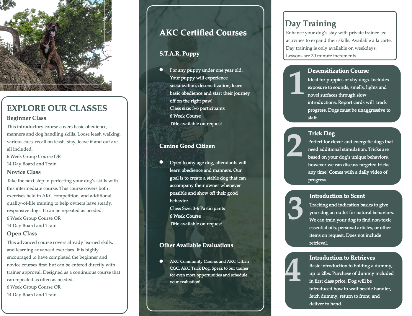 Training Brochure
